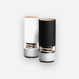 Pavilion Speakers